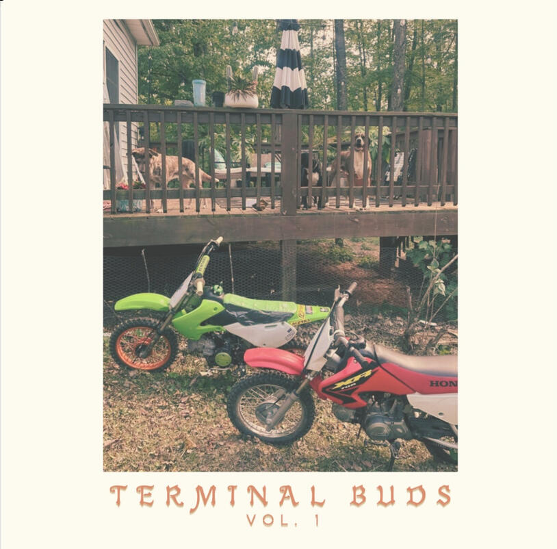 Terminal Buds: Vol 1 Contributed orginal music. Mastering.